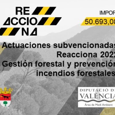 Inicio_editable_baner_gestio_forestal 2022 Villarg