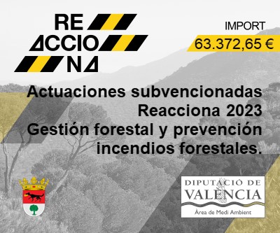 SUBVENCIÓN REACCIONA 2023. GESTIÓN FORESTAL Y PREVENCIÓN INCENDIOS FORESTALES