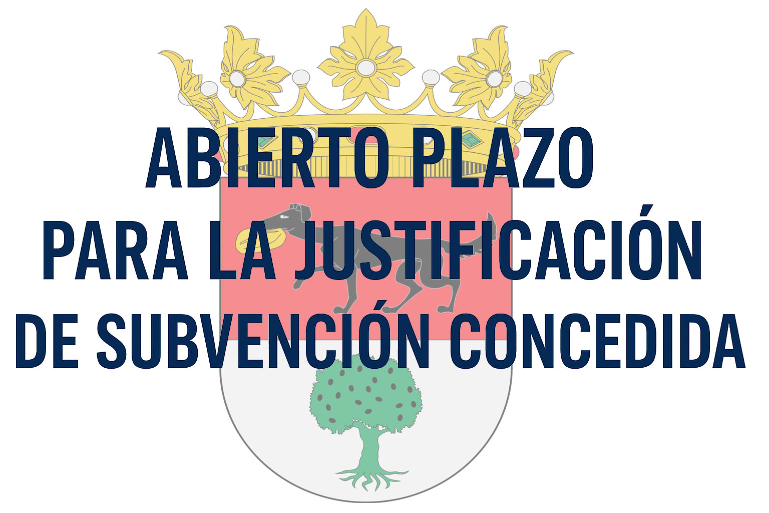 Abierto el plazo para la justificación de subvenciones concedidas