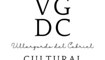LOGO VGDC